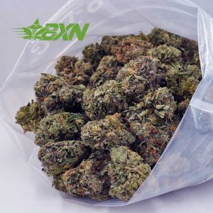 Buy Hindu Kush AAAA at BudExpressNOW Online Shop