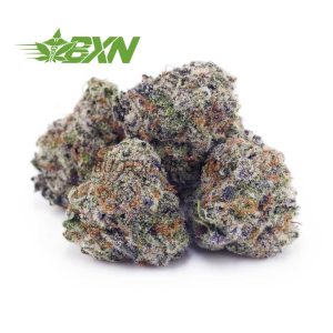 Buy Guava Cake AAAA (Popcorn) at BudExpressNOW Online Shop