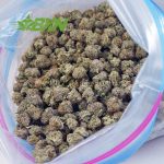 Buy Guava Cake AAAA (Popcorn) at BudExpressNOW Online Shop