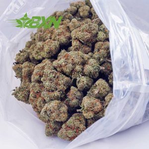 Buy Blue Mataro AAA at BudExpressNOW Online Shop