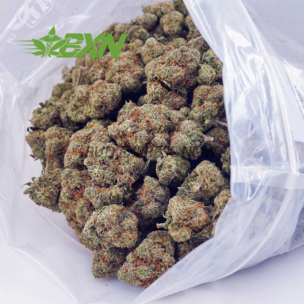 Buy Blue Mataro AAA at BudExpressNOW Online Shop