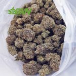 Buy Snoop Dogg OG AAAA at BudExpressNOW Online Shop