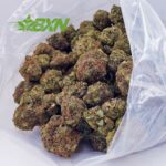 EA KINGLOUIEXIII BXN