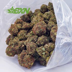 EA KINGLOUIEXIII BXN