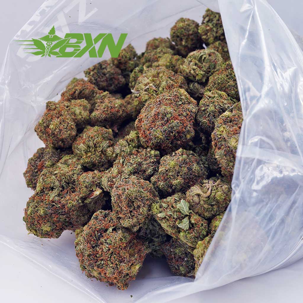 EA KINGLOUIEXIII BXN