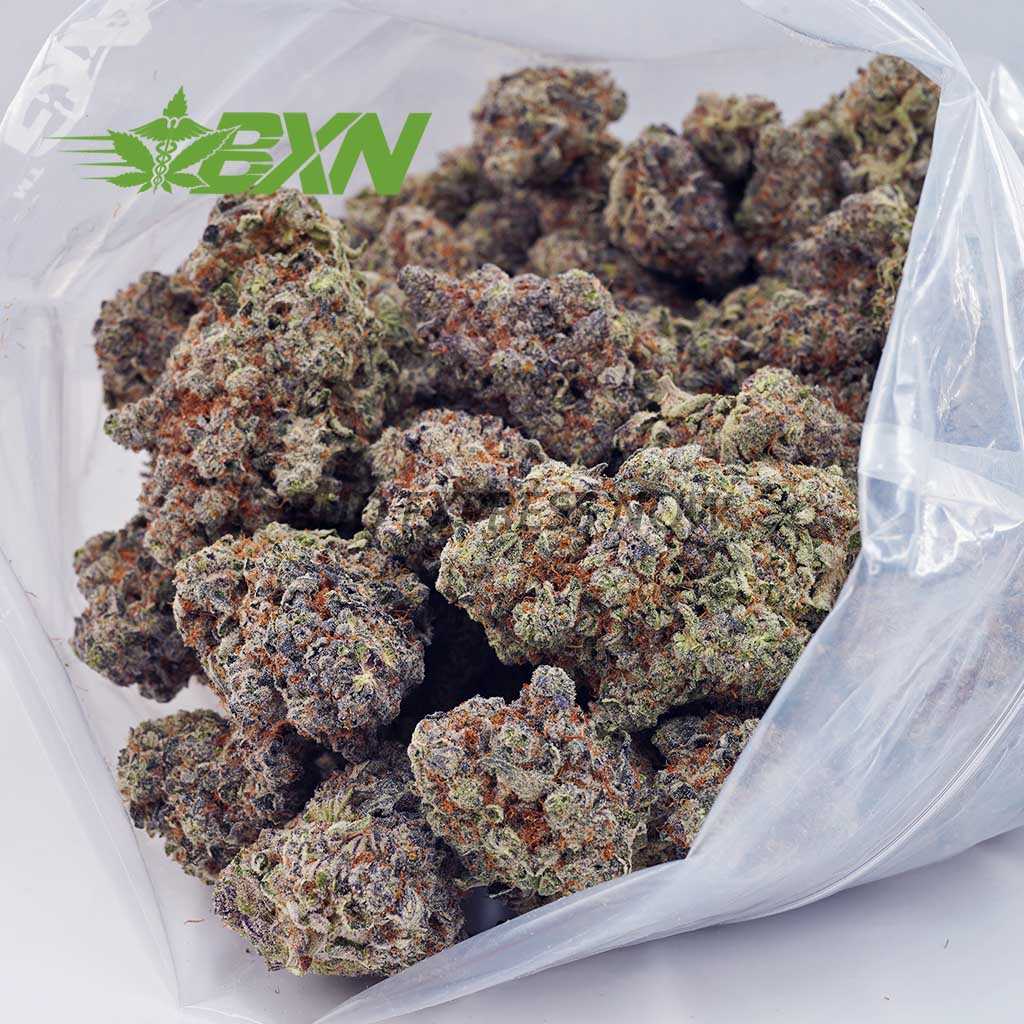 EA CHAMPAGNEKUSH BXN Buy Champagne Kush AAAA at BudExpressNOW Online Shop.