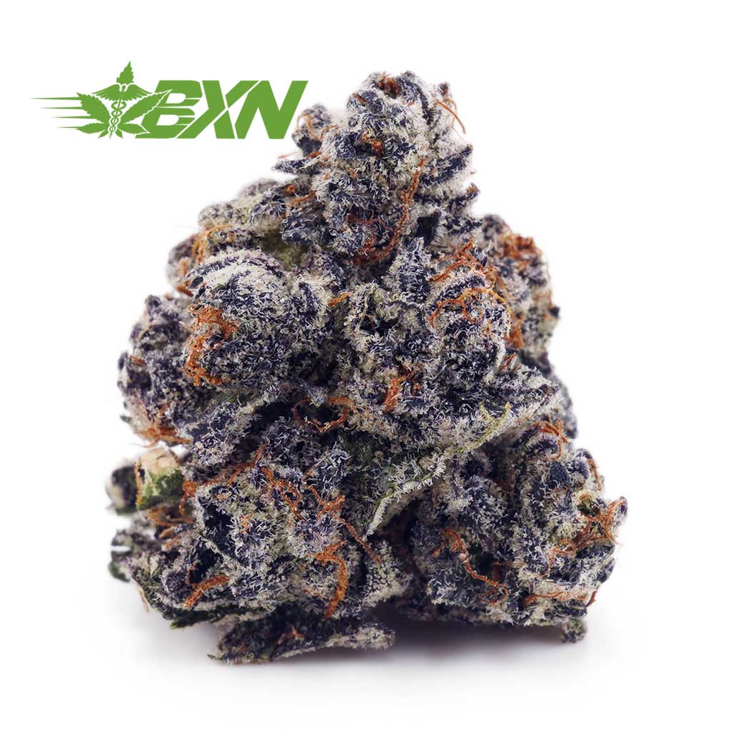 EA RUSSIANCREAM BXN Buy Russian Cream AAAA at BudExpressNOW Online