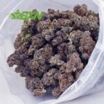 Buy Russian Cream AAAA at BudExpressNOW Online