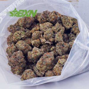 EA PERMANENTMARKER BXN