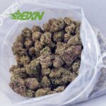 Buy Orange Crush AAAA at BudExpressNOW Online.