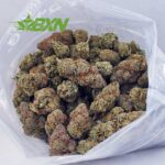 EA PINEAPPLECREAMSICLE BXN