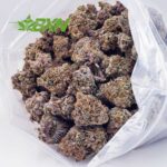 EA ORANGECREAMSICLE BXN