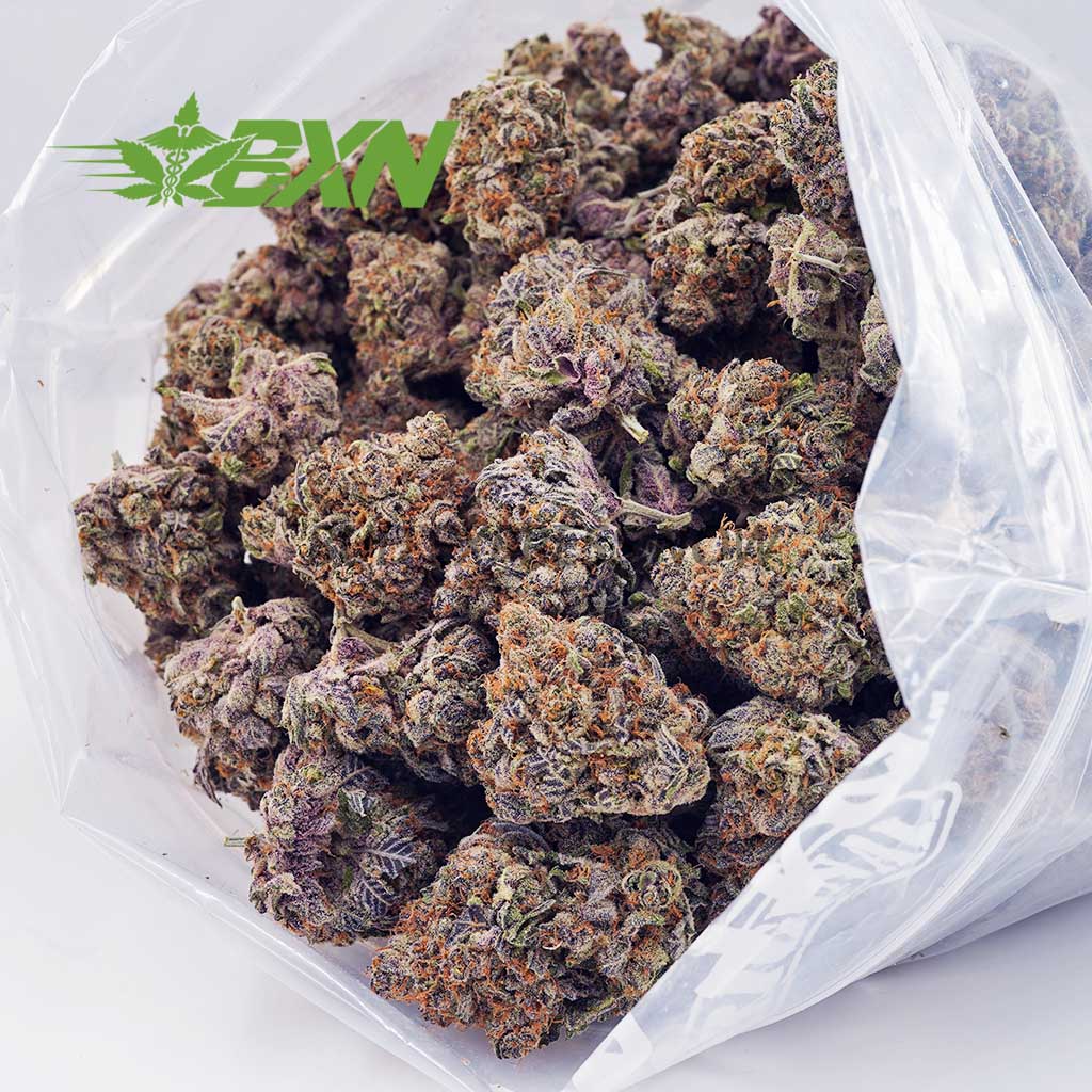 EA ORANGECREAMSICLE BXN EA ORANGECREAMSICLE BXN