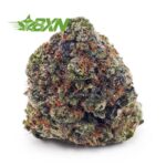 Buy Candy Star AAAA at BudExpressNOW Online Shop