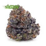 Buy Jet Fuel Gelato (Craft) at BudExpressNOW Online Shop.