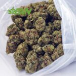 Buy Passionfruit Kush AAAA at BudExpressNOW Online.