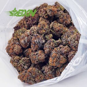 EA AFGHANHORSEMAN BXN