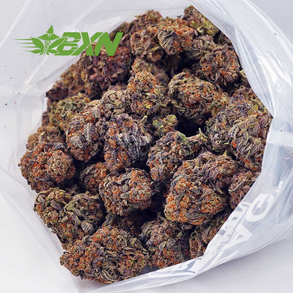 EA AFGHANHORSEMAN BXN