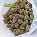 Buy Thin Mintz AAA at BudExpressNOW Online