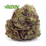 Buy Blue Lobster AA at BudExpressNOW Online