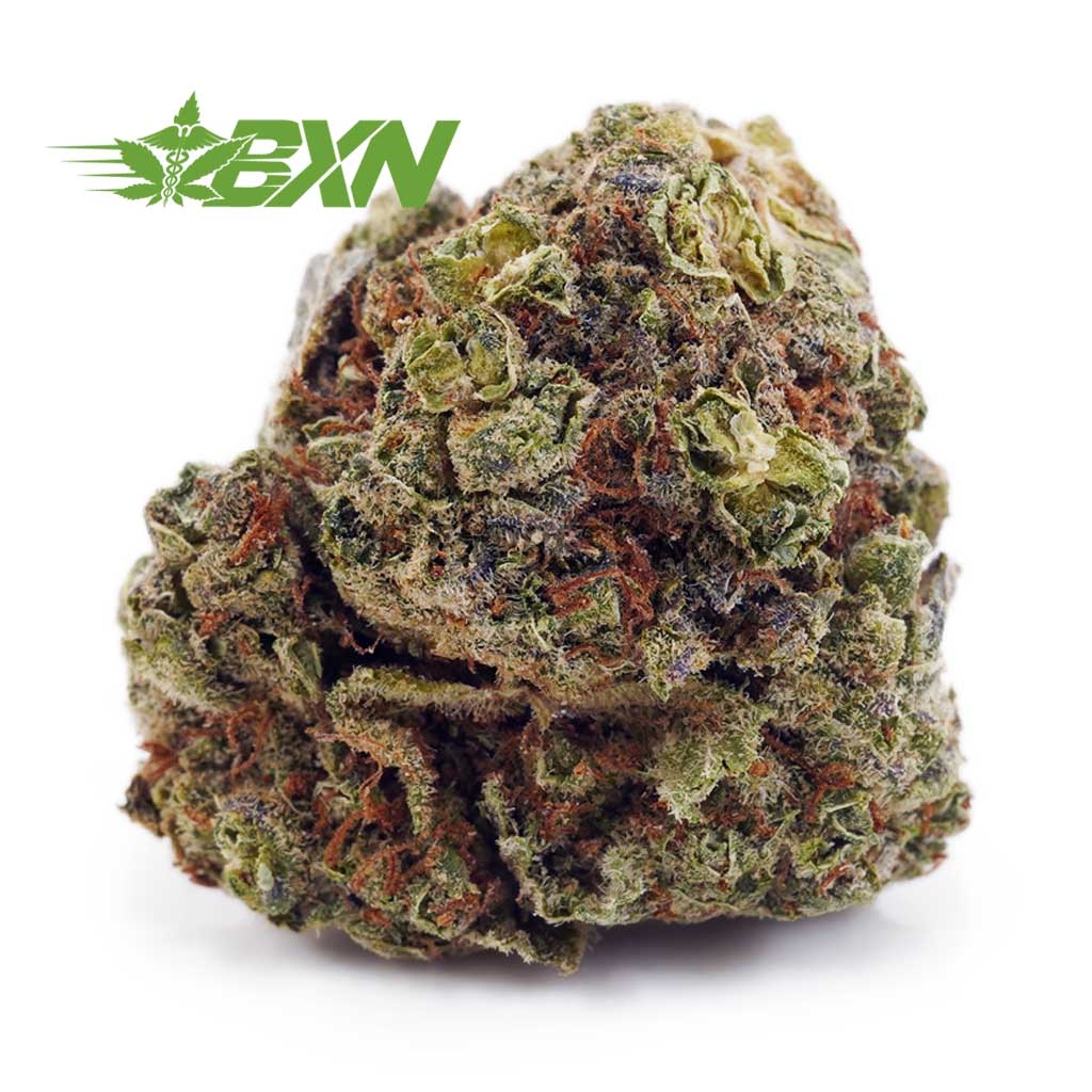 EA BLUELOBSTER BXN Buy Blue Lobster AA at BudExpressNOW Online