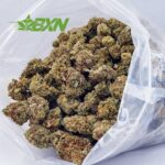 Buy Blue Lobster AA at BudExpressNOW Online