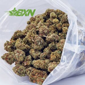 Buy Blue Lobster AA at BudExpressNOW Online