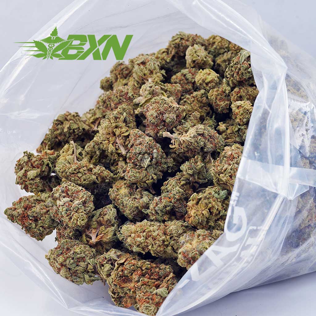 EA BLUELOBSTER BXN Buy Blue Lobster AA at BudExpressNOW Online