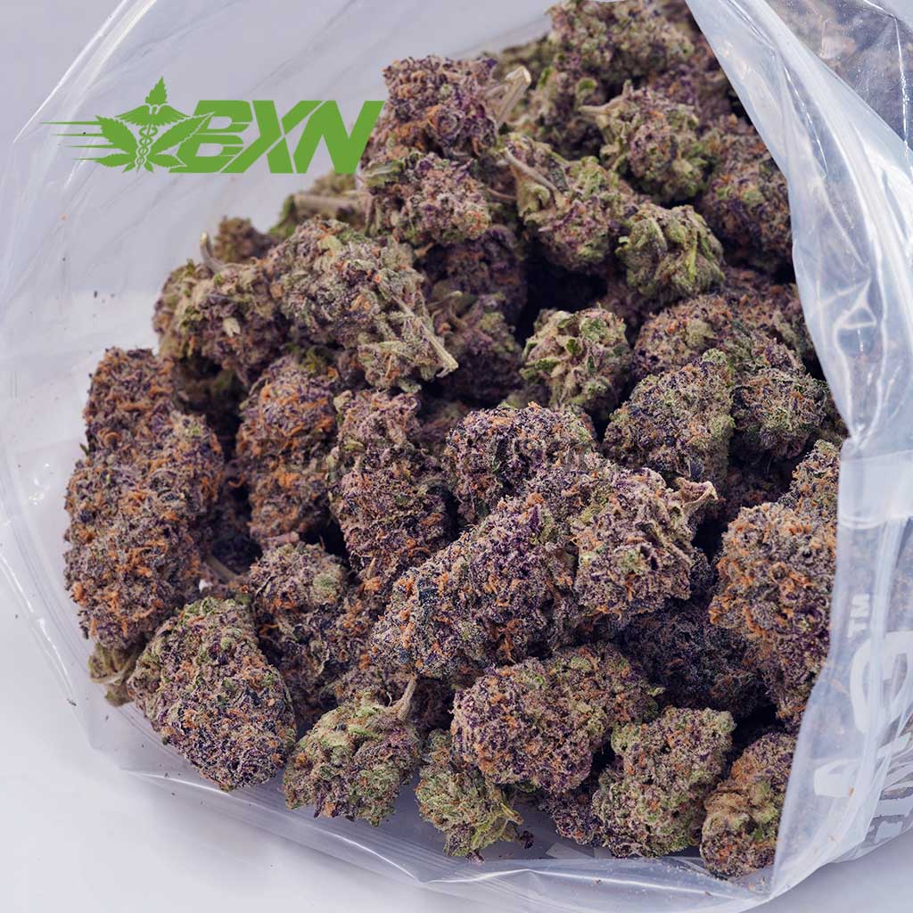 EA SUPREMEGRAPEKUSH BXN Buy Supreme Grape Kush (Craft) at BudExpressNOW Online Shop