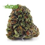 Buy Durban Poison AA at BudExpressNOW Online Shop