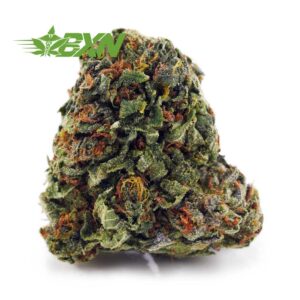 Buy Durban Poison AA at BudExpressNOW Online Shop