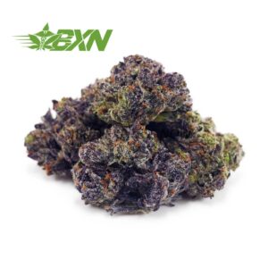 Buy Purple Kush AAAA (Popcorn) at BudExpressNOW Online Shop