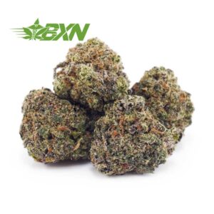 Buy Super Skunk AAAA (Popcorn) at BudExpressNOW Online Shop