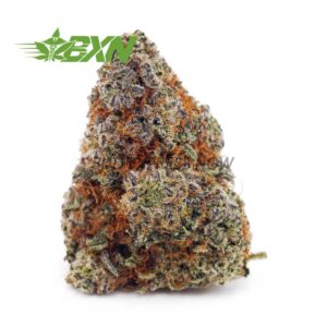 Buy Vanilla Kush AAA at BudExpressNOW Online Shop