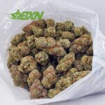 Buy Vanilla Kush AAA at BudExpressNOW Online Shop