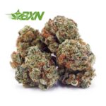 Buy Tangie AAAA (Popcorn) at BudExpressNOW Online Shop
