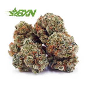 Buy Tangie AAAA (Popcorn) at BudExpressNOW Online Shop