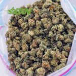 Buy Tangie AAAA (Popcorn) at BudExpressNOW Online Shop