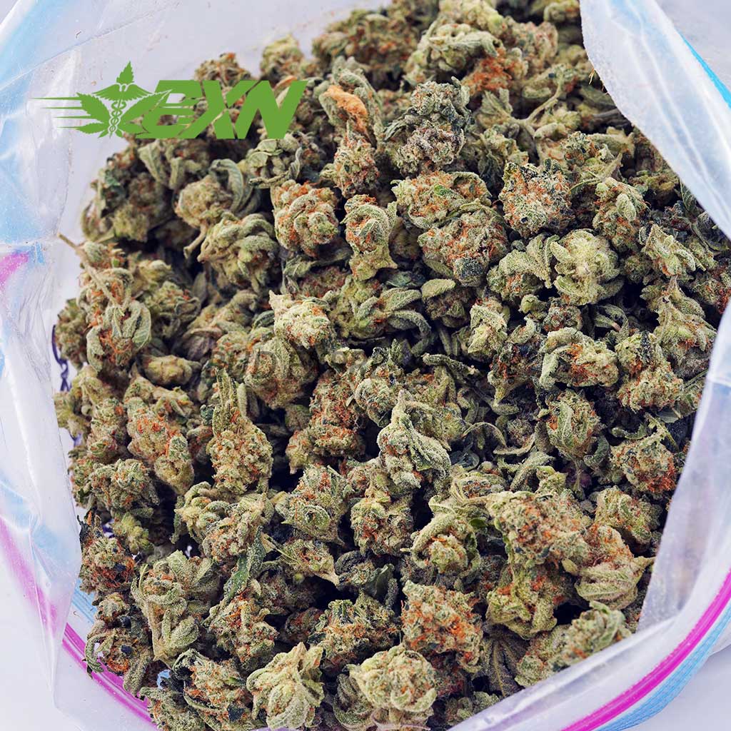 EA TANGIEPOPCORN BXN Buy Tangie AAAA (Popcorn) at BudExpressNOW Online Shop