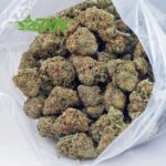 Buy Blackberry Kush AAAA at BudExpressNOW Online Shop