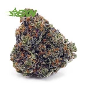 Buy Laughing Buddha AAAA (Craft) at BudExpressNOW Online Shop