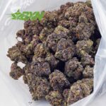 Buy Laughing Buddha AAAA (Craft) at BudExpressNOW Online Shop