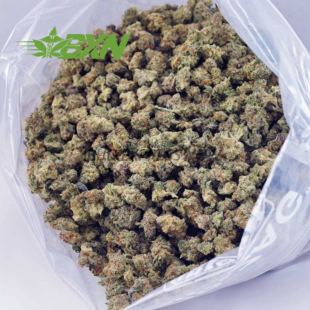 Buy Gelato Cake AAAA (Popcorn) at BudExpressNOW Online Shop