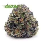 Buy Pink Kush AAAA at BudExpressNOW Online Shop