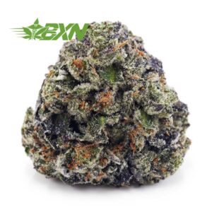 Buy Pink Kush AAAA at BudExpressNOW Online Shop