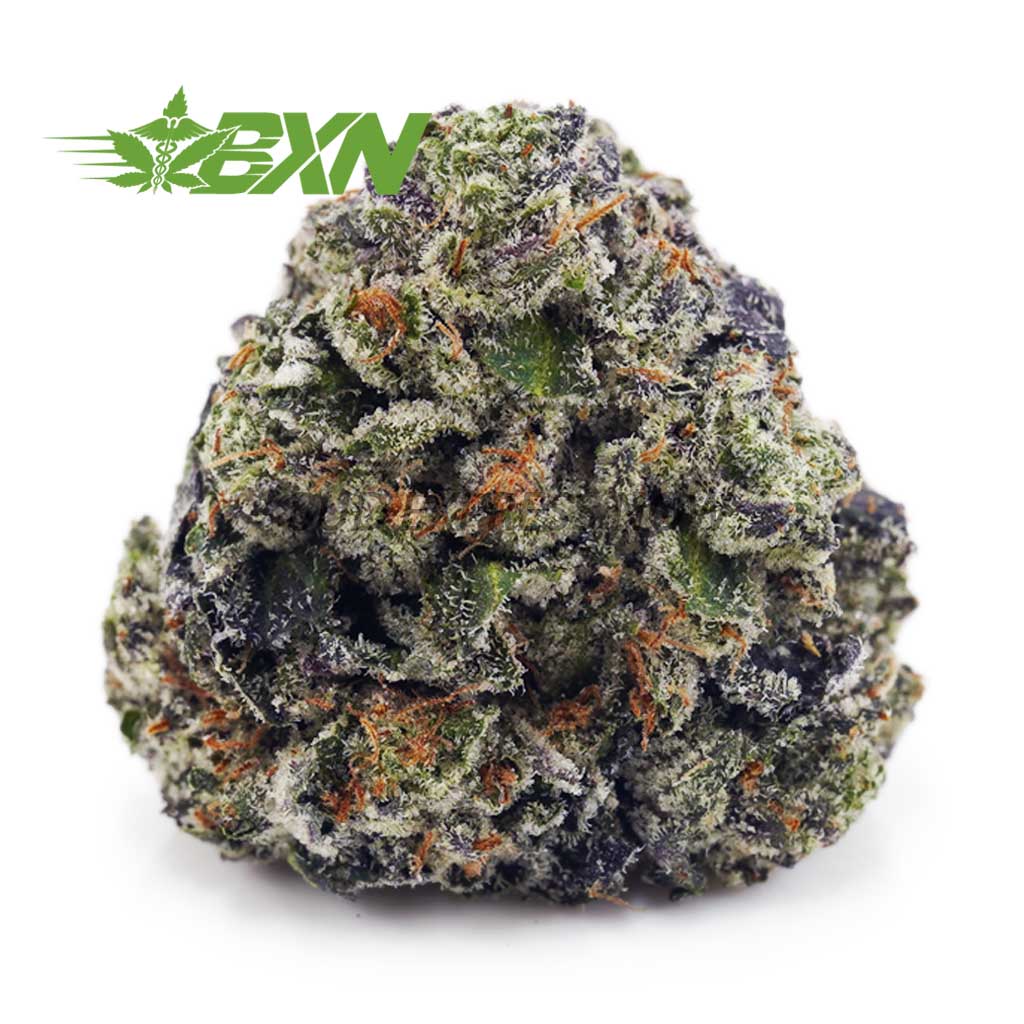 Buy Pink Kush AAAA at BudExpressNOW Online Shop