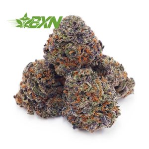 Buy Jungle Mintz AAAA (Popcorn) at BudExpressNOW Online Shop