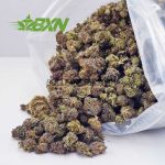 Buy Jungle Mintz AAAA (Popcorn) at BudExpressNOW Online Shop