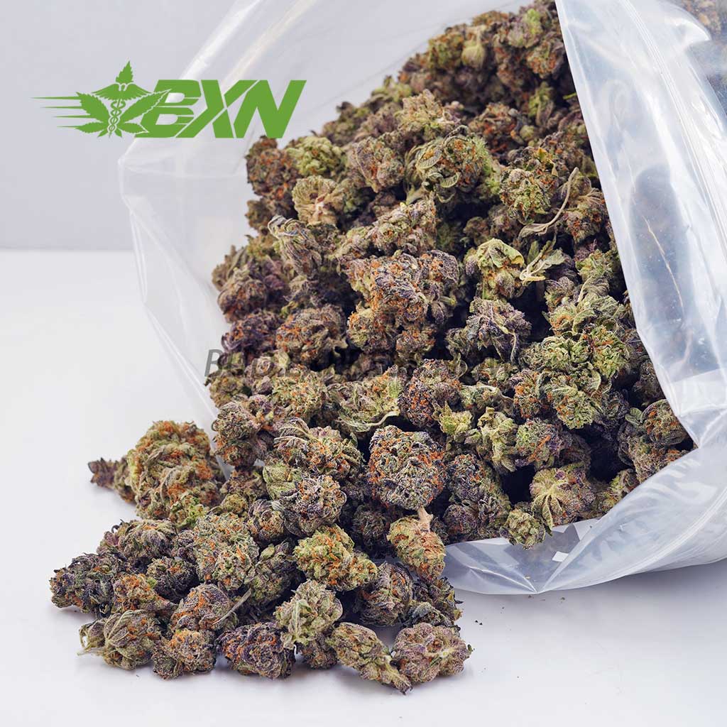 EA JUNGLEMINTZPOPCORN BXN Buy Jungle Mintz AAAA (Popcorn) at BudExpressNOW Online Shop