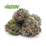 Buy Super Skunk AAAA (Popcorn) at BudExpressNOW Online Shop